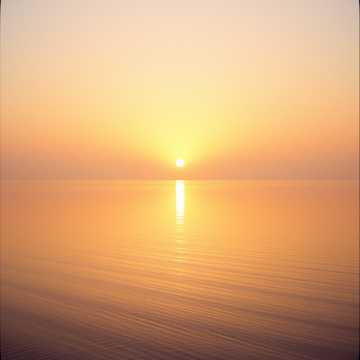 Morning Whisper 2