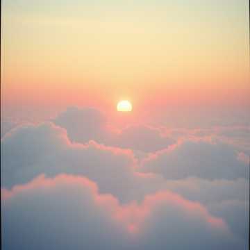 Dream in the Quiet